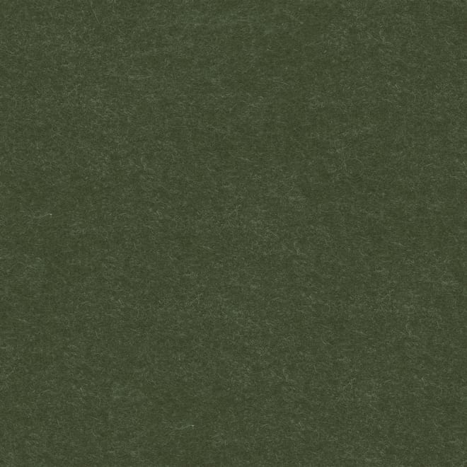 Texture de feutre d’exemple pour la couleur forest moss