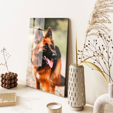 Portrait d’animal de compagnie sur votre mur