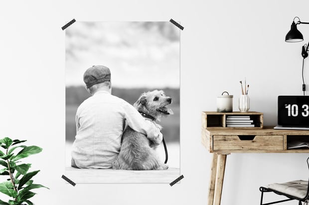 Commander photo sur poster