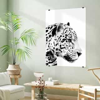 Photo sur grand poster